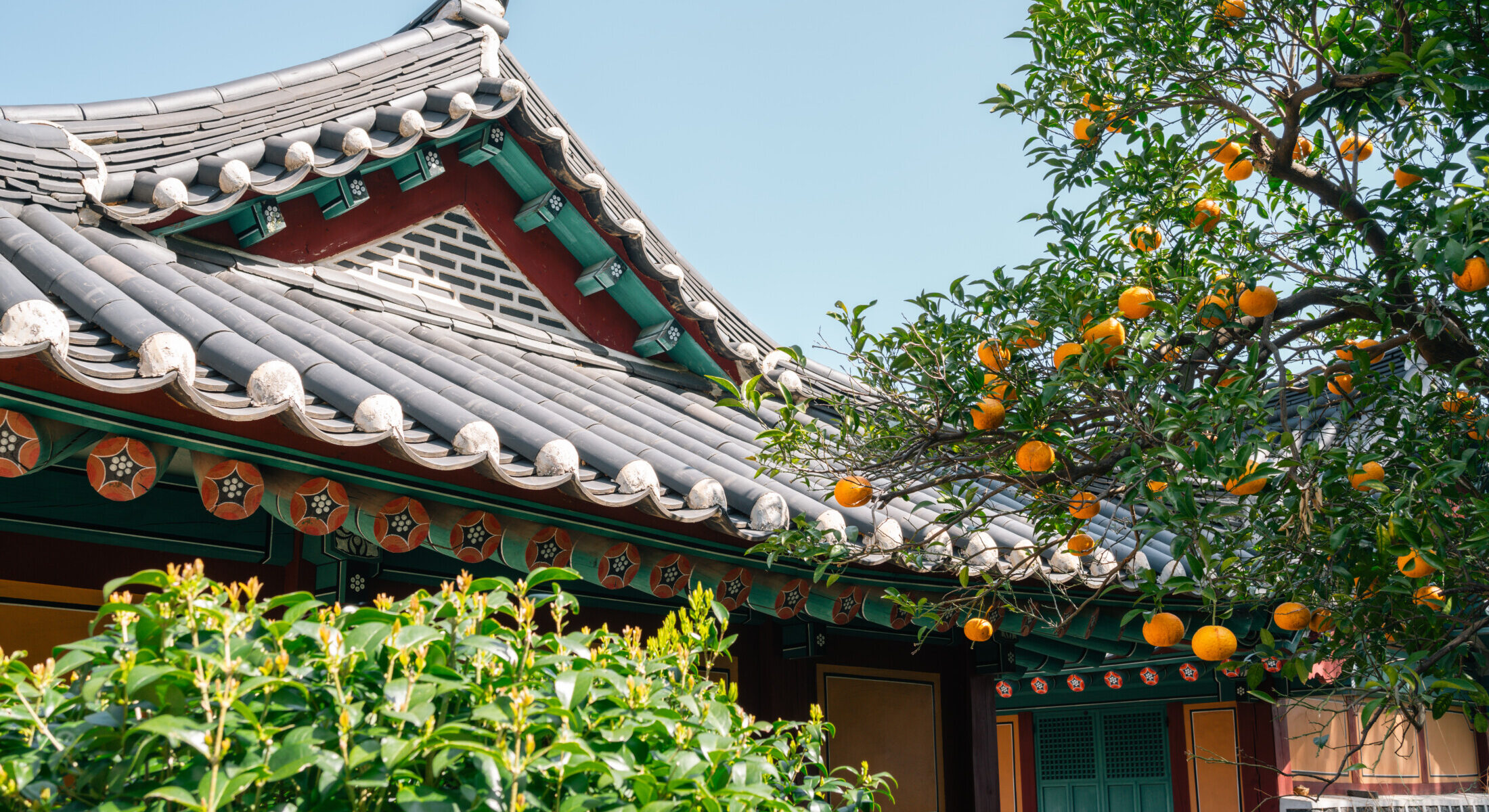 SCENTORIAL IMMERSION