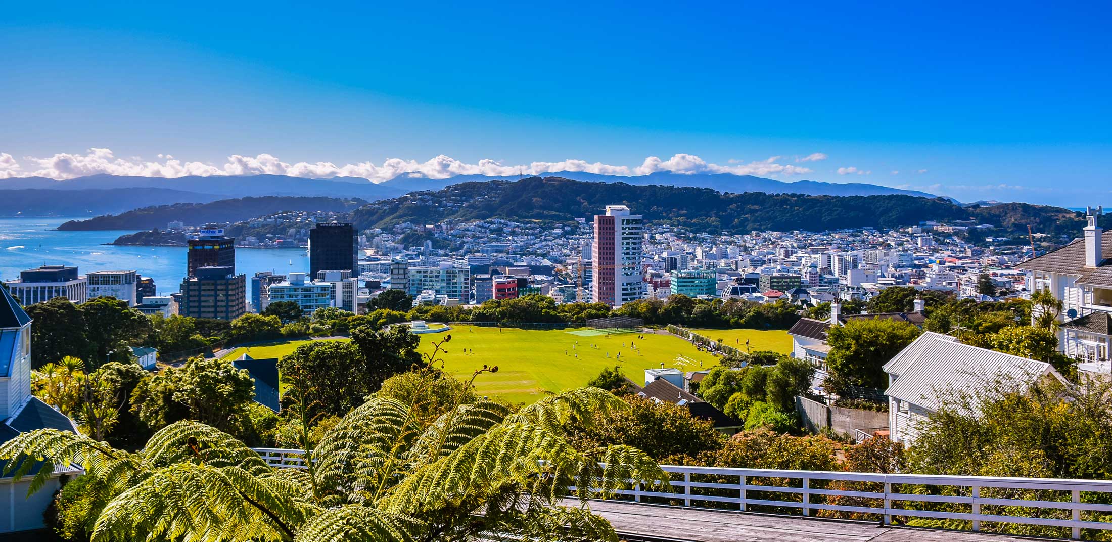 Wellington